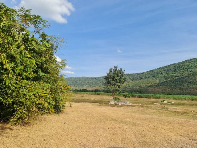 พฤษภาแห่งการซื้อทรัพย์น่าลงทุน ขายที่ดินสวยติดภูเขา เทือกเขายาวเรียงแนว ดินดีสมบูรณ์ทรัพย์ในดิน ฟ้าใสวิวหลักล้าน ต.นาจาน อ.สีชมพู จ.ขอนแก่น