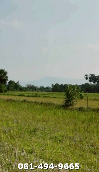 ขายที่สวยยกแปลง ไม่แบ่งขาย 3 ไร่ 34 ตรว ติดลาดยาง ต.ท่าทราย อ.เมืองนครนายก เพียงไร่ละ 5.2 แสนเท่านั้น