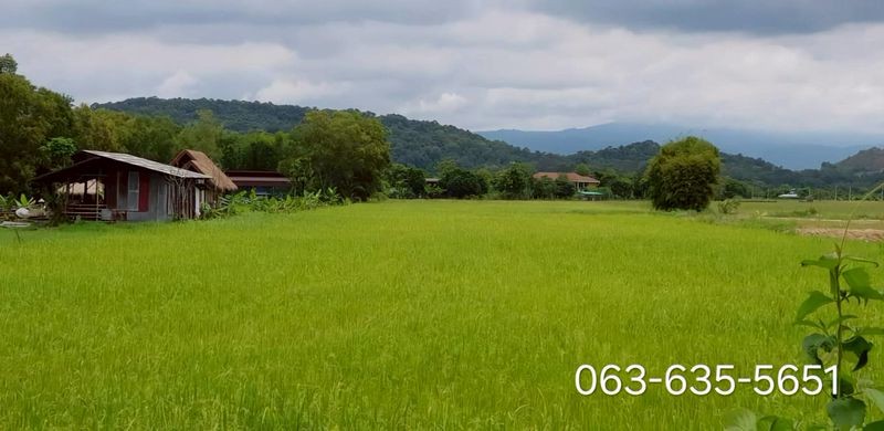 ขายที่สวยวิวเขาล้อม 6 ไร่ ติดรีสอร์ท ต.สาริกา อ.เมืองนครนายก เข้าออกได้หลายทาง อยู่หลังตลาดเท่ง ประมาณ 3.3 กม.