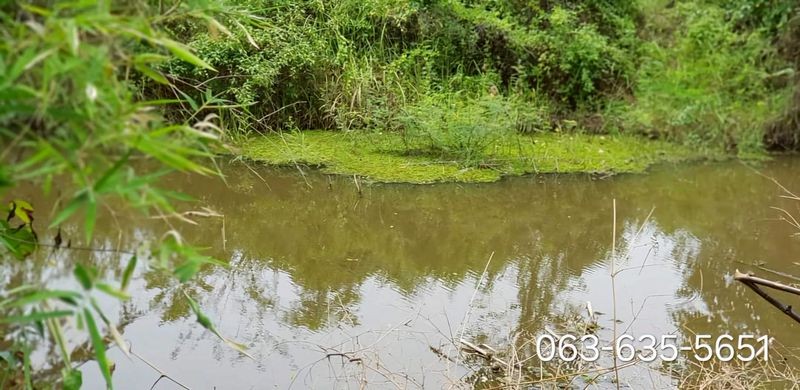 ขายที่สวยวิวเขาล้อม 6 ไร่ ติดรีสอร์ท ต.สาริกา อ.เมืองนครนายก เข้าออกได้หลายทาง อยู่หลังตลาดเท่ง ประมาณ 3.3 กม.