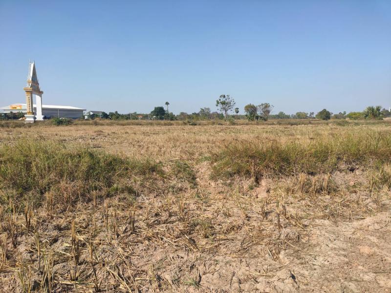 ที่ดินเปล่า (แบ่งขาย) ด่านขุนทด นครราชสีมา ราคาเริ่มต้นที่ 3.4 แสน