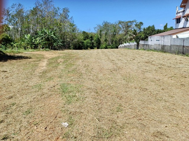 ที่ดินภูเก็ต 1-3-19 ไร่ ที่ดินถมแล้ว ทางเข้าถนนคอนกรีต ที่เนินสวย วิวสวย