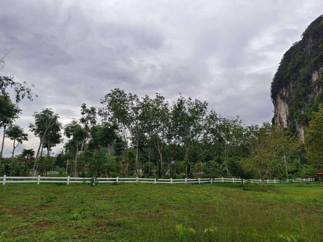 ขายที่ดินทำเลดีเหมาะทำธุรกิจ หรือพูลวิลล่า ใกล้อ่าวนาง อำเภอเมือง จังหวัดกระบี่ เนื้อที่ 1 ไร่