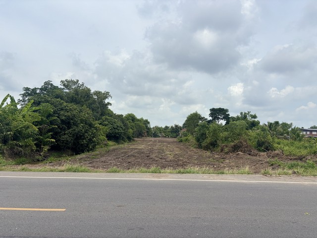 ขายด่วน ที่ดินแปลงสวย ทำเลเจริญ คลอง 16 ต.พระอาจารย์ อ.องครักษ์ จ.นครนายก