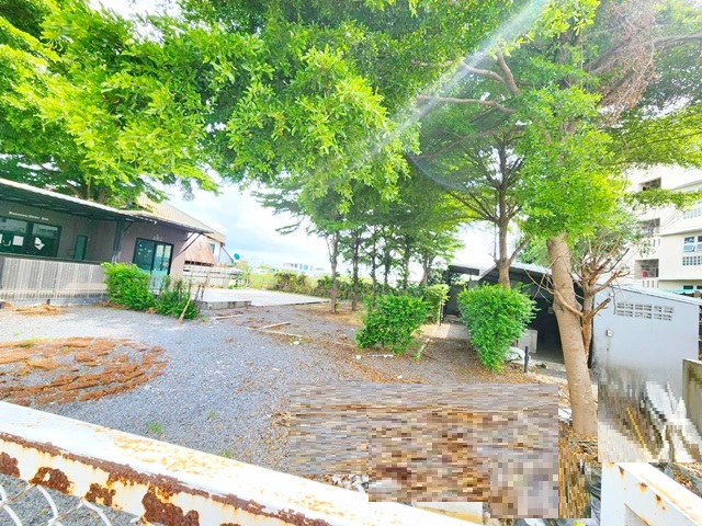 โลตัส ลำลูกกา คลอง 2 800ม.ให้เช่าที่ดิน 2ไร่ ถมแล้ว สนามกอล์ฟธูปะเตมีย์ 2.1 กม.BTSคูคต เพียง 1.8 กม. รพ.แพทย์รังสิต 4กม. ทำเลดี ใกล้