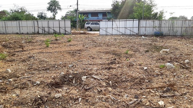 ขายที่ดิน 2 ไร่ 18 ตารางวา. ถมมีรั้ว พร้อมปลูกสร้าง ลาดหลุมแก้ว จังหวัดปทุมธานี (11)