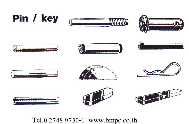 Hexagon head bolt, Bolt with flange, Shoulder screw, Set screw, screw plug, thin nut, lock nut, Castle nut, Locking disc spring, tab washer, e-ring, shim ring, bonded seal