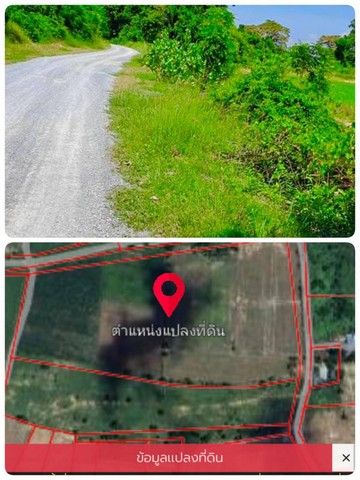 ขายที่ดินอำเภอหนองหญ้าไซ จังหวัดสุพรรณบุรี เนื้อที่ 46 ไร่ 1 งาน 64 ตารางวา