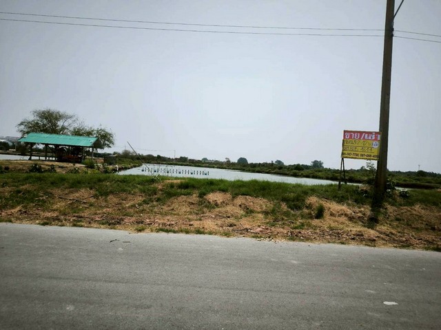 ขายที่ดิน 8-2-42 ไร่ ใกล้แก้มลิง ถ.เจษฎาวิถี  โคกขาม เมืองสมุทรสาคร  ZW560