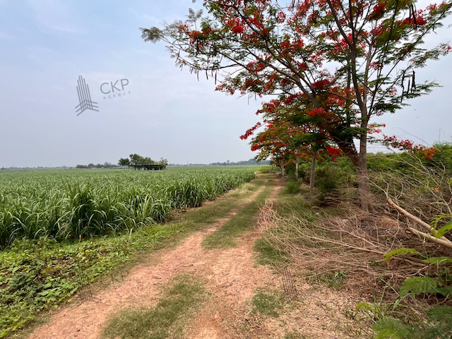 ที่ดินเปล่าขนาดใหญ่ ใกล้ม.เกษตรศาสตร์ วิทยาเขตกำแพงแสน ใกล้ตัวอำเภอกำแพงแสน