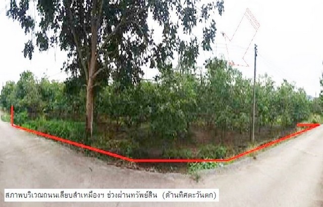 ขายที่ดินว่างเปล่ามือสอง    บ้านเหล่ายาวเหนือ ลำพูน