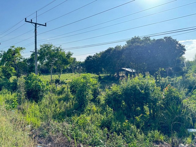 ขายขาดทุน! ที่ดินติดถนนใหญ่ เชียงราย 123 ไร่ เหมาะลงทุนเพียงไร่ละ 490,000 ฟรีค่าโอนทั้งหมด!