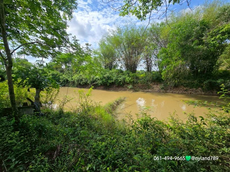 ขายที่สวนใกล้ รร.นายร้อยจปร. ต.พรหมณี อ.เมือง จ.นครนายก เดินทางง่าย ใกล้ชุมชน ทำเลดี ใกล้ถนนหลัก การเดินทางก็สะดวกมากๆ