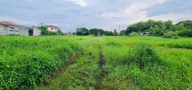 ขายที่ดิน ใจกลางเมืองเพชรบูรณ์ เนื้อที่ 18-1-3 ไร่ ติดถนนสันติสุข เข้าออกได้หลายเส้นทาง บรรยากาศดีเงียบสงบน่าอยู่