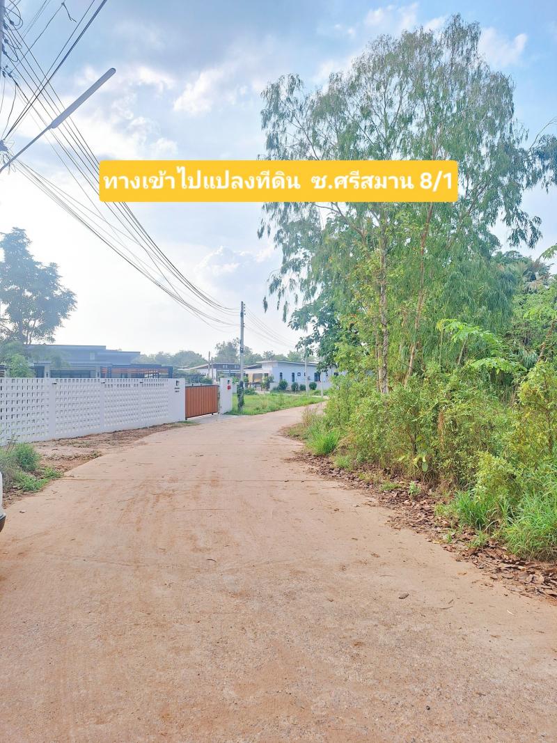 ขายที่ดินทำเลทอง! ซอยบ้านโนนม่วง ใกล้ มข. เพียงไม่กี่นาที เหมาะสำหรับปลูกบ้าน หอพัก หรือทำธุรกิจเดินทางสะดวก