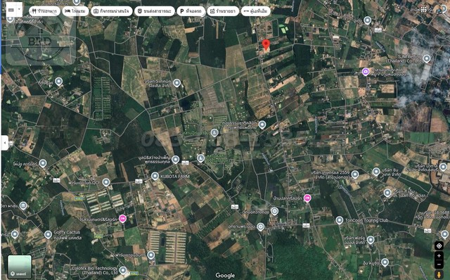 ขายถูกที่ดิน อ.บ่อทอง จ.ชลบุรี (เนื้อที่ 8 ไร่ ขายไร่ละ 1 ล้าน รวมเป็นเงิน 8 ล้าน) อ.บ่อทอง จ.ชลบุรี