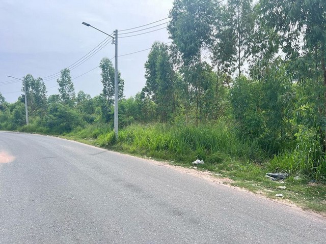 ขายที่ดินเปล่า ทำเลทอง ทุ่งกลม-ตาลหมัน13 บางละมุง พัทยา TP-L1229