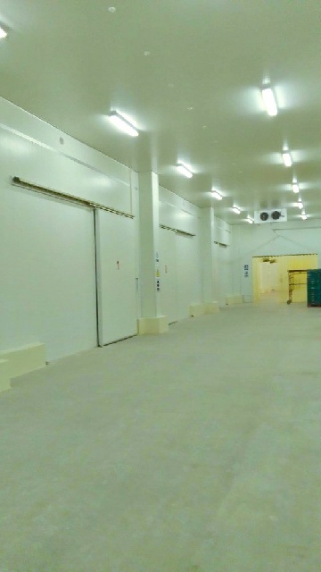 ขอนแก่น มหาสารคาม  ให้เช่าโกดัง ห้องเย็น 125 ตร.ม.ถ.มิตรภาพ แจ้งสนิท  2ไร่ 35 ตรว. โกสุมพิสัย  ติดถนน .