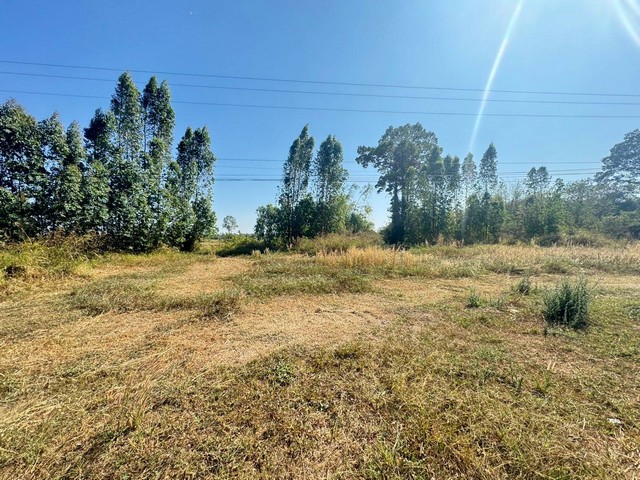 ขายที่เปล่าติดถนนทางหลวง ต.นาเสียว ชัยภูมิ 336.6 ตร.ว ใกล้โรงเรียนนาเสียว หลังติดห้วย เหมาะลงทุนจัดสรร