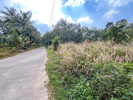 1 Rai Land for Sale in Taling Ngam Koh Samui – Great for Home or Resort Near Beach Quiet and Scenic Area