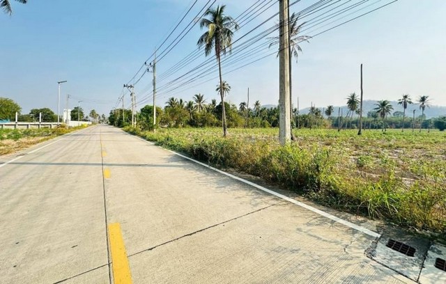 ที่ดินเปล่าแปลงสวย หุบบอน เขาคันทรง ศรีราชา ชลบุรี FP-L0425