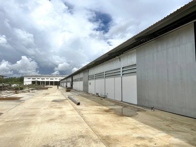 RK0595 โกดังให้เช่า   475 9i, เทศบาลบางปู ซอย 80  ต.บางปูใหม่ ถนนกว้าง 14 เมตร รถพ่วง ตู้คอนเทนเนอร์     เข้า-ออกสะดวก