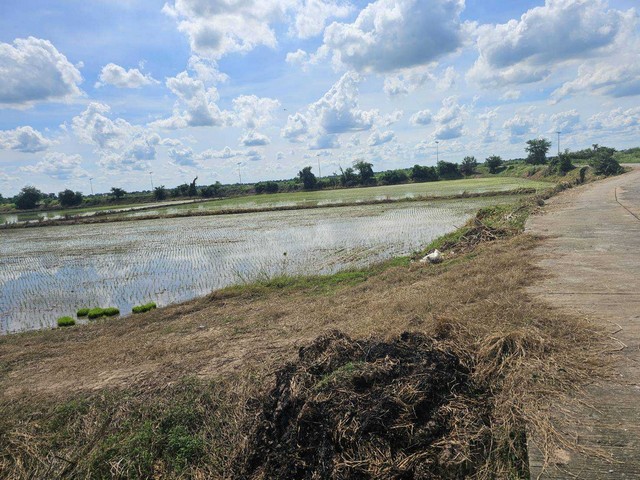ขายที่ดินเปล่าติดถนน 3 ด้าน ใกล้วัดหลวงพ่อเขียว บ้านแพรก อยุธยา 10-2-3 ไร่