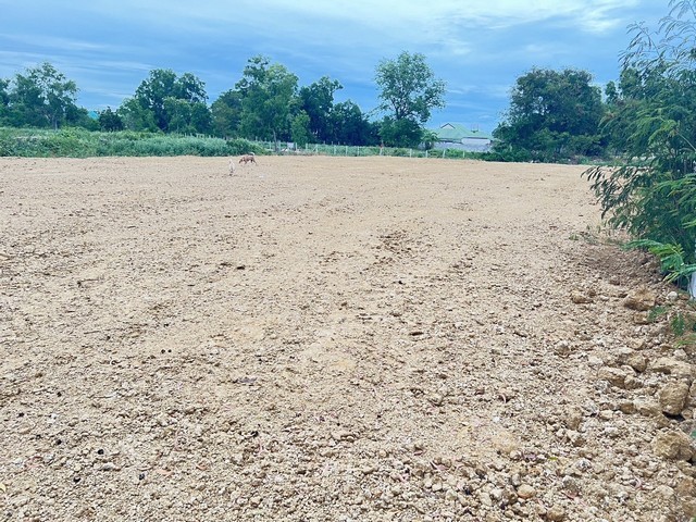 ขายที่ดินถมแล้ว 312 ตร.ว. ติดถนนทางหลวง หัวนาทับใต้ หัวหิน ใกล้ชุมชน ราคาดี ตรว.ละ 26,000 บาท