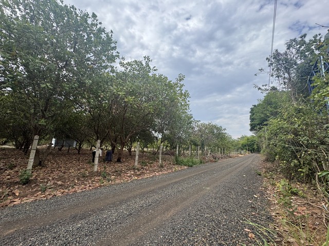 ขายที่ดินบ้านท่าช้าง เนื้อที่ 5 ไร่ 3 งาน  61.2 ตร.วา ต.ท่าช้าง อ.สว่างวีระวงศ์ จ.อุบลราชธานี