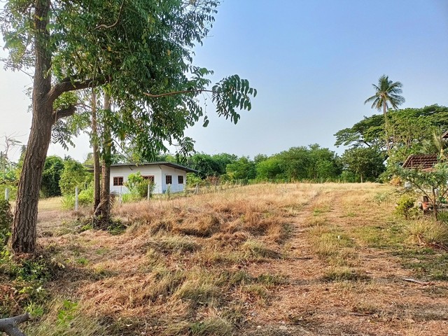 ขายที่ดินเปล่า 200 ตร.ว. ต.หนองบัว อ.บ้านหมอ จ.สระบุรี
