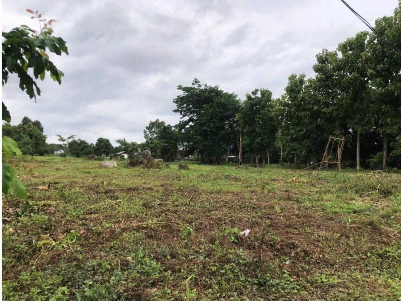 ขายที่ดินเปล่าติดถนน ทำเลทอง ต.แม่กรณ์ อ.เมือง จ.เชียงราย