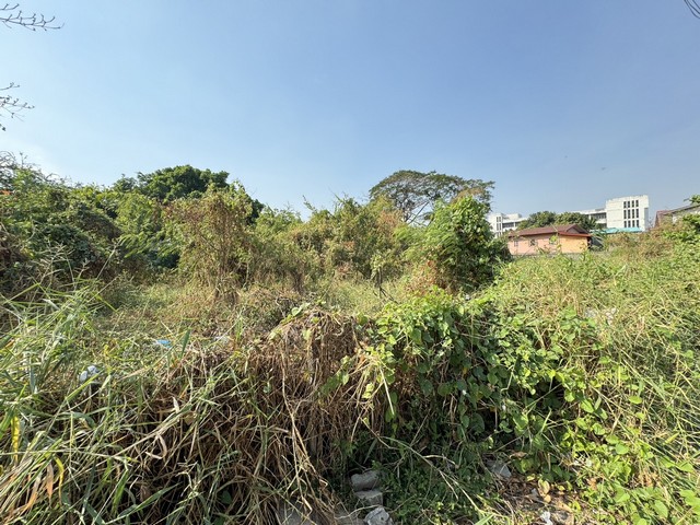 ขายที่ดินติดถนนลาดพร้าว101 ใกล้ mrt ลาดพร้าว ใกล้ โรงพยาบาลเวชธานี - เดอะเมอล์บางกะปิ