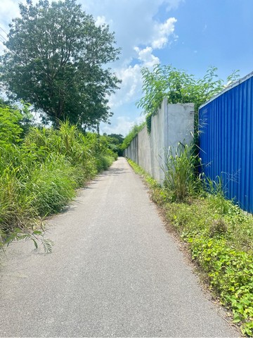 ขายที่ดิน 4-3-92 ไร่   หนองอิรุณ   บ้านบึง  ชลบุรี