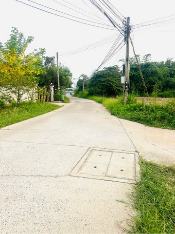 ขายที่ดิน 91 ตารางวา  ซอยเทศบาล 10/2  บางเสร่  สัตหีบ  ชลบุรี