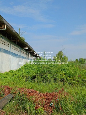 ขายโรงงาน (สำนักงาน และโกดัง) อ.เมือง จ.สมุทรสาคร 4-1-61 ไร่ ราคา 45 ล้านบาท