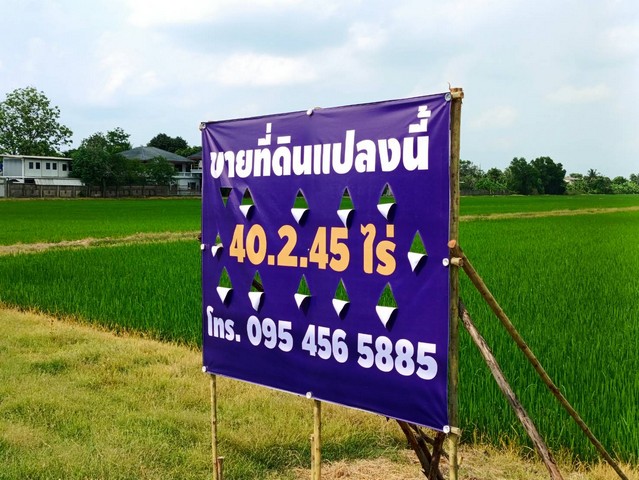 ขายที่ดิน 40.2.45 ไร่ คลอง7 ต.รังสิตเหนือ อ.ธัญบุรี จ.ปทุมธานี