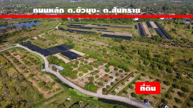 ขายที่ดินแบ่งแปลง 150-200ตรว. เริ่ม 529,000บาท ถนนคอนกรีต ไฟฟ้า น้ำประปา  บ้านท่ามะขาม ต.สันทราย อ.สารภี เชียงใหม่