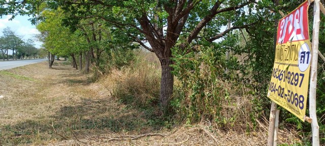 ขายที่ดินราคาถูก ติดถนนสายหลัก  8-2-0 ไร่  บ้านวัดตายม  บางกระทุ่ม พิษณุโลก