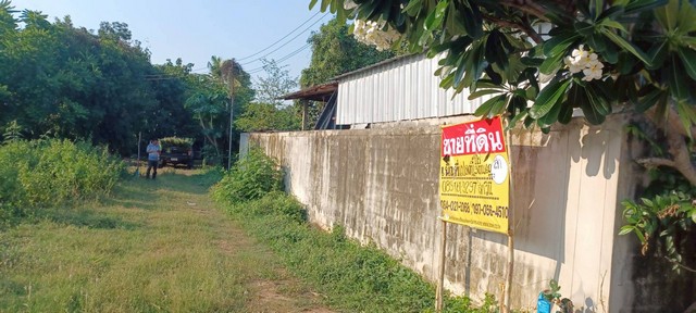 ขายที่ดิน 1-3-60 ไร่ ราคาถูก ในชุมชน  บ้านกร่าง ใกล้มหาวิทยาลัยราชมงคลล้านนา เมืองพิษณุโลก 