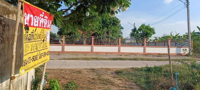 ขายที่ดิน 1-3-60 ไร่ ราคาถูก ในชุมชน  บ้านกร่าง ใกล้มหาวิทยาลัยราชมงคลล้านนา เมืองพิษณุโลก