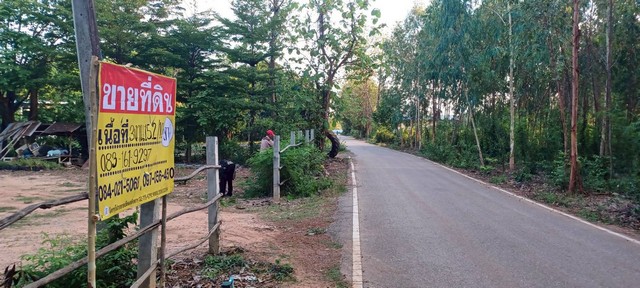 ขายที่ดิน พร้อมสิ่งปลูกสร้าง 305 วา หลังโรงเรียนดินทอง  บ้านดินทอง วังทอง  พิษณุโลก