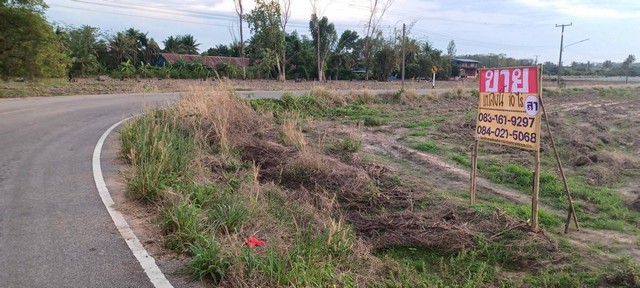 ขายที่ดินราคาถูก 10-0-0 ไร่  ใกล้ชุมชน  บ้านวังหนองแดง   ว้ดโบสถ์  พิษณุโลก