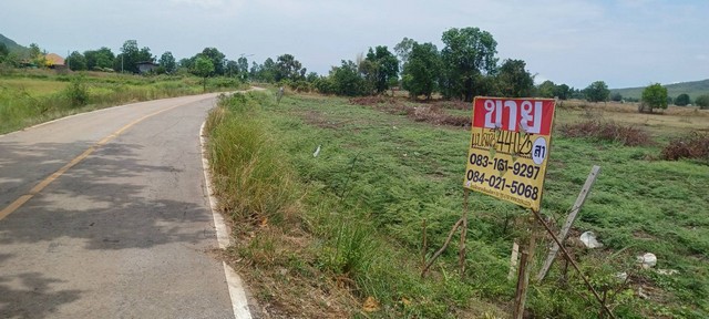 ขายที่ดินผืนใหญ่ใกล้ชุมชน 44-0-25 ไร่ ติดโรงพยาบาลวังทอง   พิษณุโลก