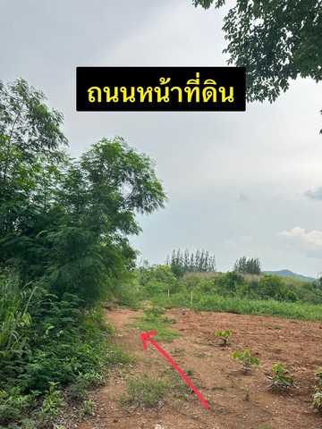 ขายที่ดินเปล่าทำเลดีมาก  เลี้ยวจากถนนหลัก 304 แค่ 200 เมตร ต.ปากช่อง อ.ปากช่อง จ.นครราชสีมา  พื้นที่ : 199.8 ตร.ว.