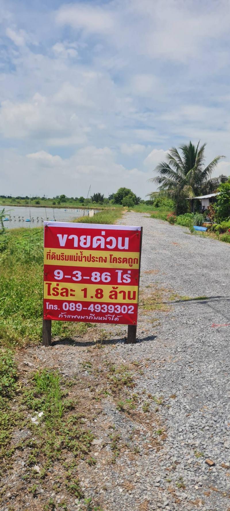 ขายที่ดินริมแม่น้ำบางปะกง อำเภอบางคล้า จังหวัดฉะเชิงเทรา เนื้อที่ 9 ไร่ 3 งาน 86 ตารางวา