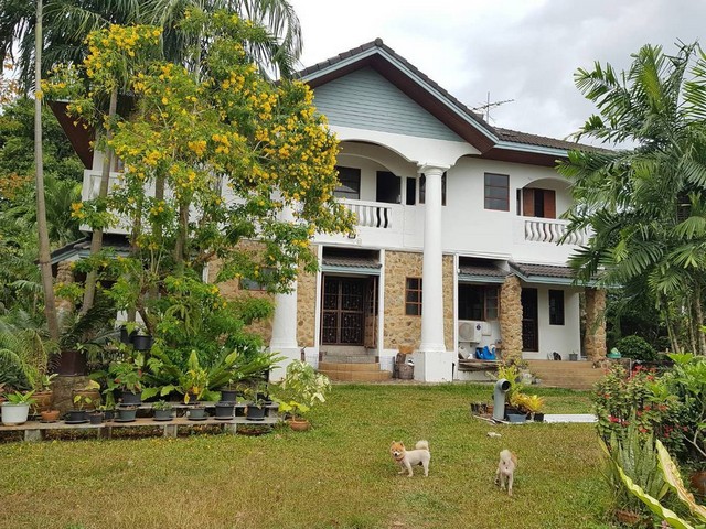 หมู่บ้านปรางทองภูเก็ต บ้านเดี่ยวสภาพเดิม 240วา 6ห้องนอน 7ห้องน้ำ ใกล้โรงพยาบาลดีบุก