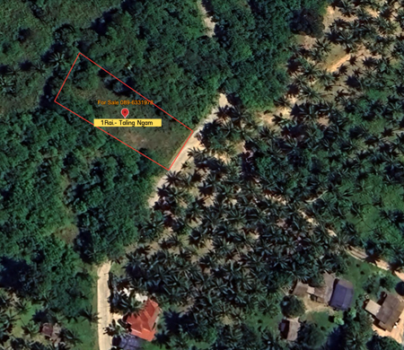 ที่ดิน 1 ไร่ ตลิ่งงาม เกาะสมุย เหมาะสร้างพูลวิลล่า ปล่อยเช่า หรืออยู่อาศัย ใกล้ทะเล วิวธรรมชาติ