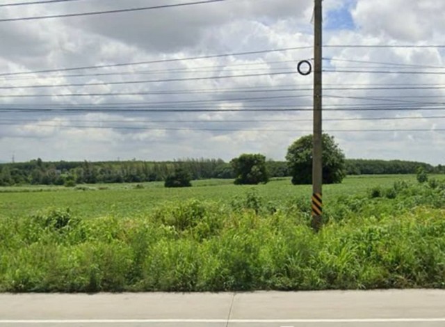 ขายที่ดินสีม่วงลาย  ติดถนน 331 มาบเอียง เขาคันทรง ชลบุรี  FP-L0466