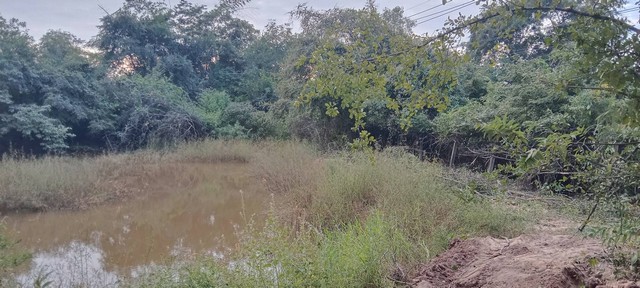 สู่ยุคเก็บทรัพย์แทนเงินเพิ่มมูลค่า ขายที่สวยติดทางหลวง1107 บ้านตาก จ.ตาก คมนาคมสะดวก ไร่ละ 300000 ต.ตากตก อ.บ้านตาก  จ.ตาก  0837124115