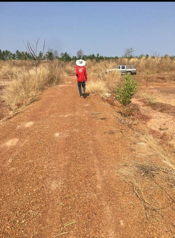 ขายที่ดินเปล่าถมแล้วบ้านดุงอุดร ชุมชนหมู่บ้านดอนขี้เหล็ก ใกล้โรงเรียนบ้านดอนขี้เหล็ก ต.นาคำ อ.บ้านดุง จ.อุดรธานี